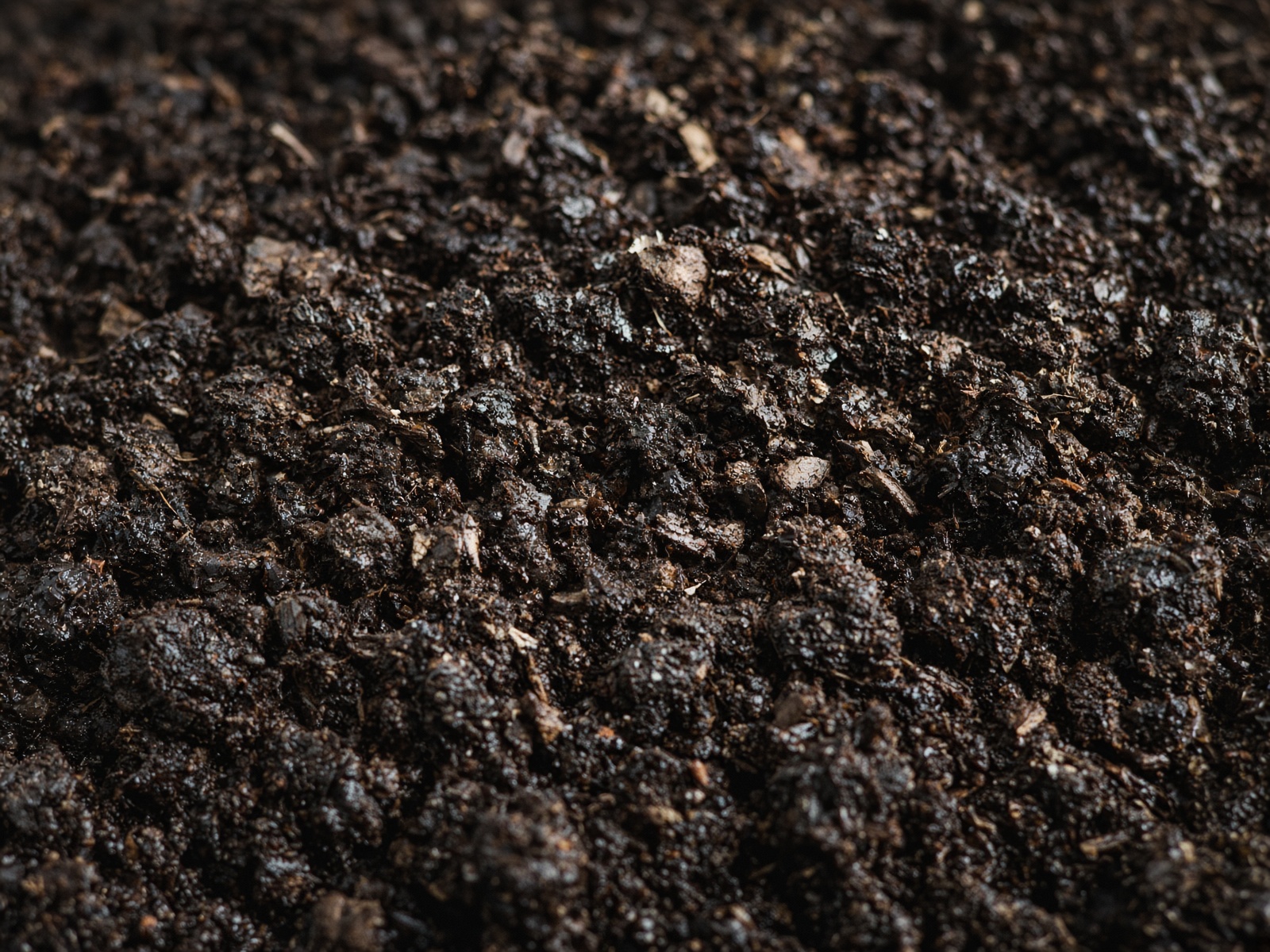 Close-up of rich dark crumbly compost